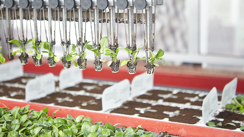 Agrotechnical sensors horticulture